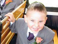 Dinosaur on the trolley