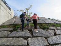 Climbing the granite