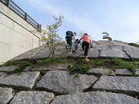 Can they make it all the way?