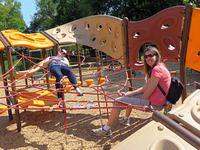 Relaxing in the spiderweb