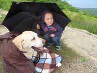 Buddies staying dry during a brief sprinkle
