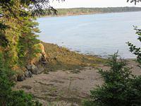 View en route to Owls Head Light