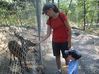 Watching Mommy Closely