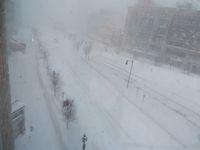 Commonwealth Avenue on Sunday