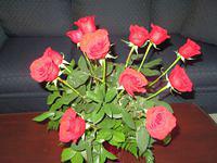 February Flowers and Forts