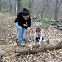 Look at all these Spikes