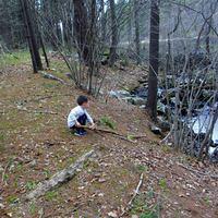 Watching the Water Flow