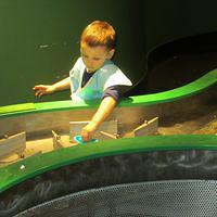 Sailing Around the Obstacles