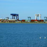 Containers and Cranes