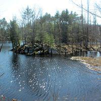 Island along the trail