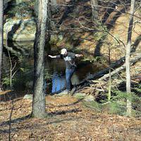 Carefully crossing the beaver dam