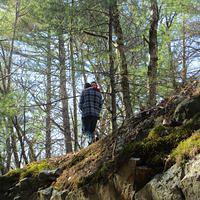 Taking the high road