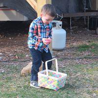 What is in this Egg?