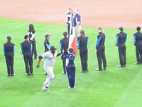 Final Swerve and High Five