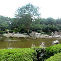 Japanese Garden