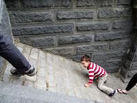 Monkey See, Monkey Do 9803