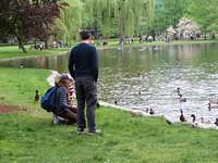 Thomas Made a Lot of New Friends