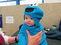 Cutest Little Cookie Monster
