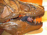 Friday the 13th......