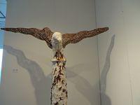 The Eagle Has Landed