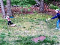 Swinging for the Fences