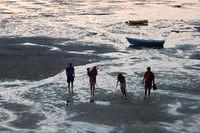 Beachwalking at Dusk
