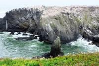 View From the Lighthouse