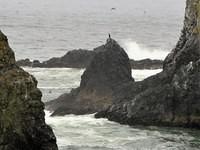 View from Cobble Beach