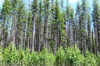 Left Side, Same Spot