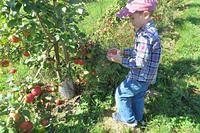 So Many to Choose From