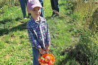 Bucket is Almost Full