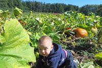 How Do I Get Out of Here?