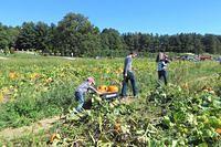 Heading Out With Our Plunder