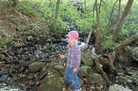 Contemplative Thomas