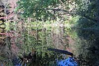 Off Roading is the Best