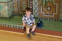 Isaac and His Naval Postgraduate School Peacock