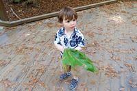 Isaac and His Huge Leaf