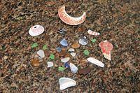 California Seaglass and Shells