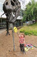 Feeding the Dinosaur