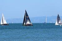 Sailing in the Bay