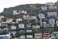 Sausalito Hill