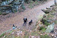 View From the High Road