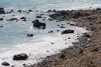Rocky Shores