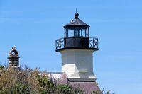 Why the Roof is White