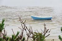 Blue Rowboat Afloat