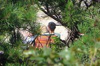 Spying From the Deck