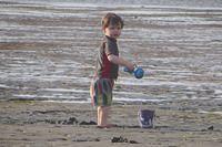 Whole Lot of Sand to Move