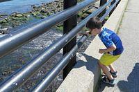 Returning Unfinished Beach Glass to the Sea