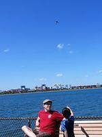 The Plane, The Plane