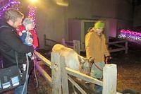 Eamonn Meets Reindeer